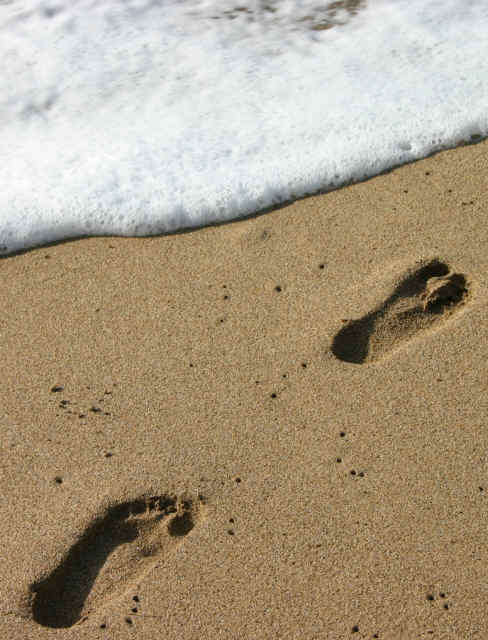 Footprint